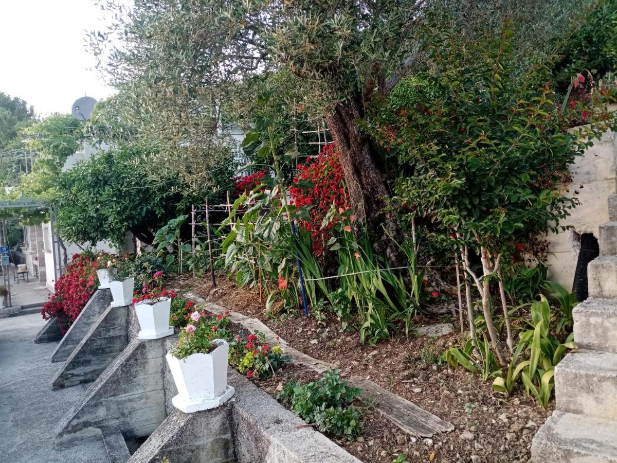 Apartmani Bosco Tivat Zewnętrze zdjęcie