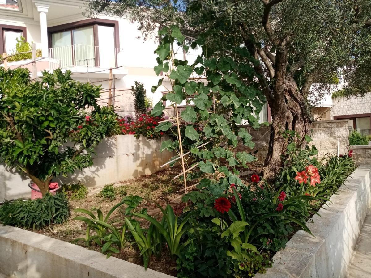 Apartmani Bosco Tivat Zewnętrze zdjęcie