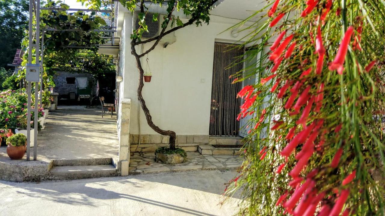 Apartmani Bosco Tivat Zewnętrze zdjęcie