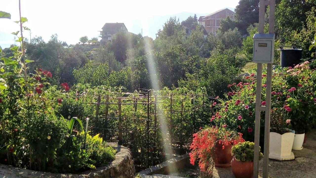 Apartmani Bosco Tivat Zewnętrze zdjęcie