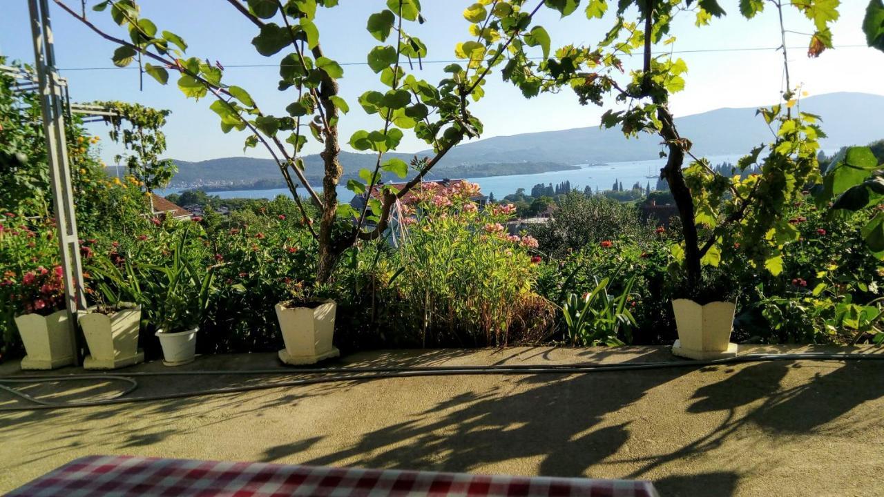 Apartmani Bosco Tivat Zewnętrze zdjęcie