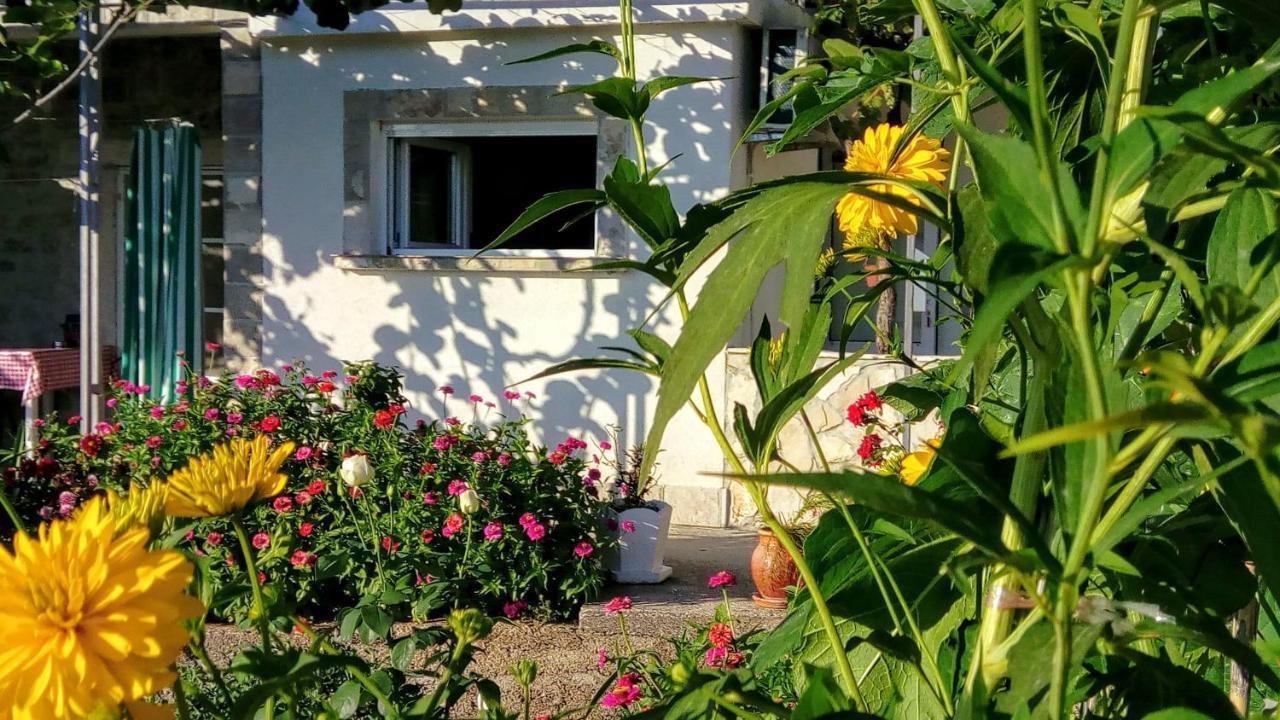 Apartmani Bosco Tivat Zewnętrze zdjęcie