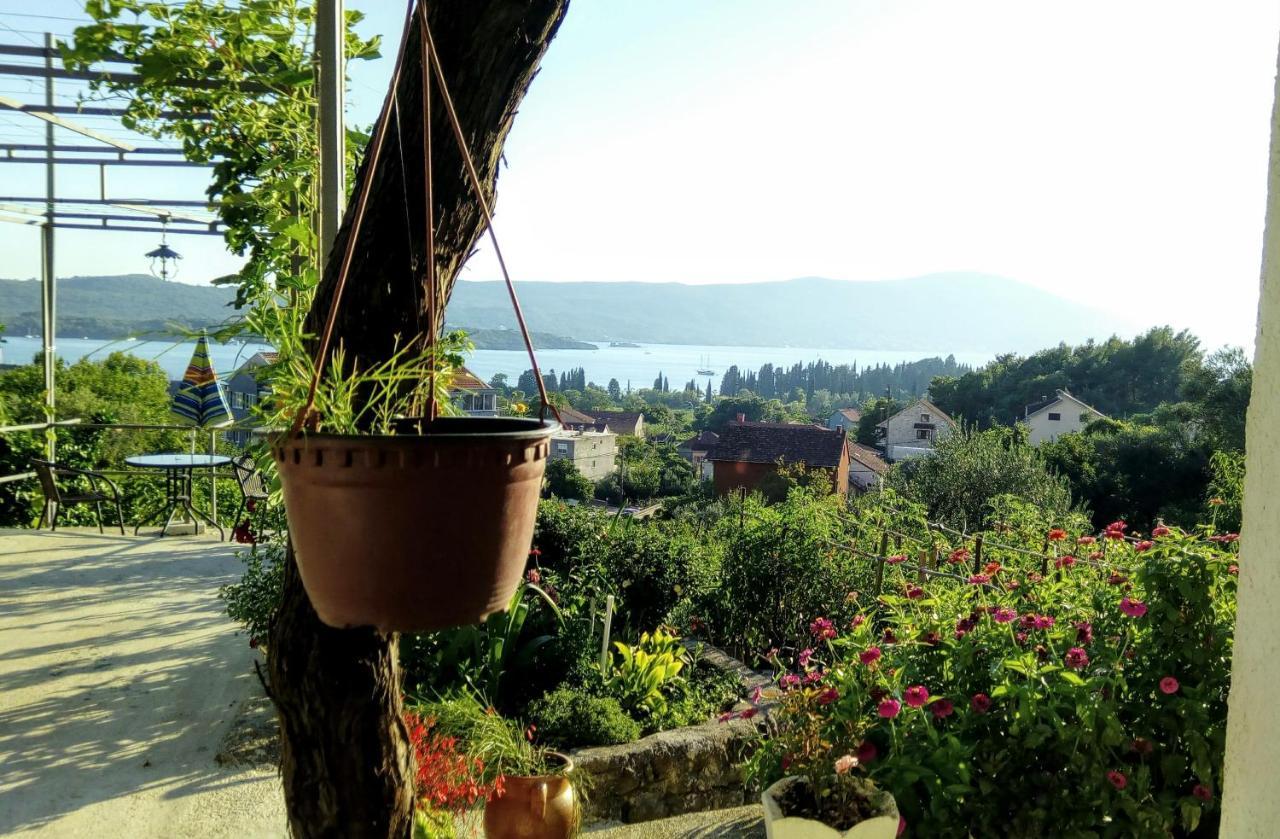 Apartmani Bosco Tivat Zewnętrze zdjęcie