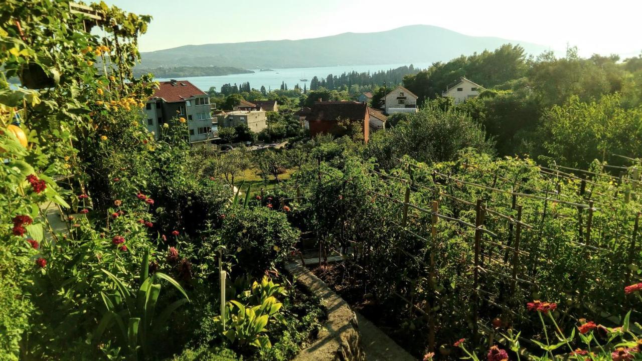 Apartmani Bosco Tivat Zewnętrze zdjęcie