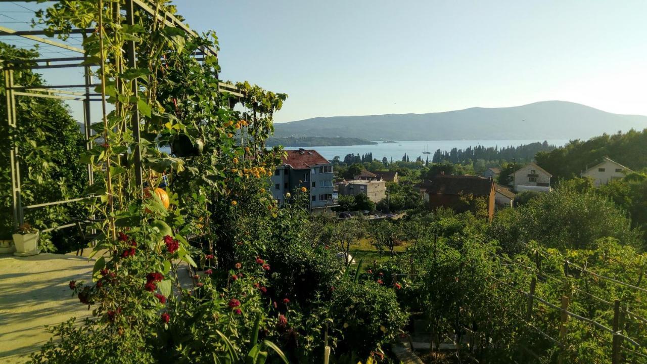 Apartmani Bosco Tivat Zewnętrze zdjęcie