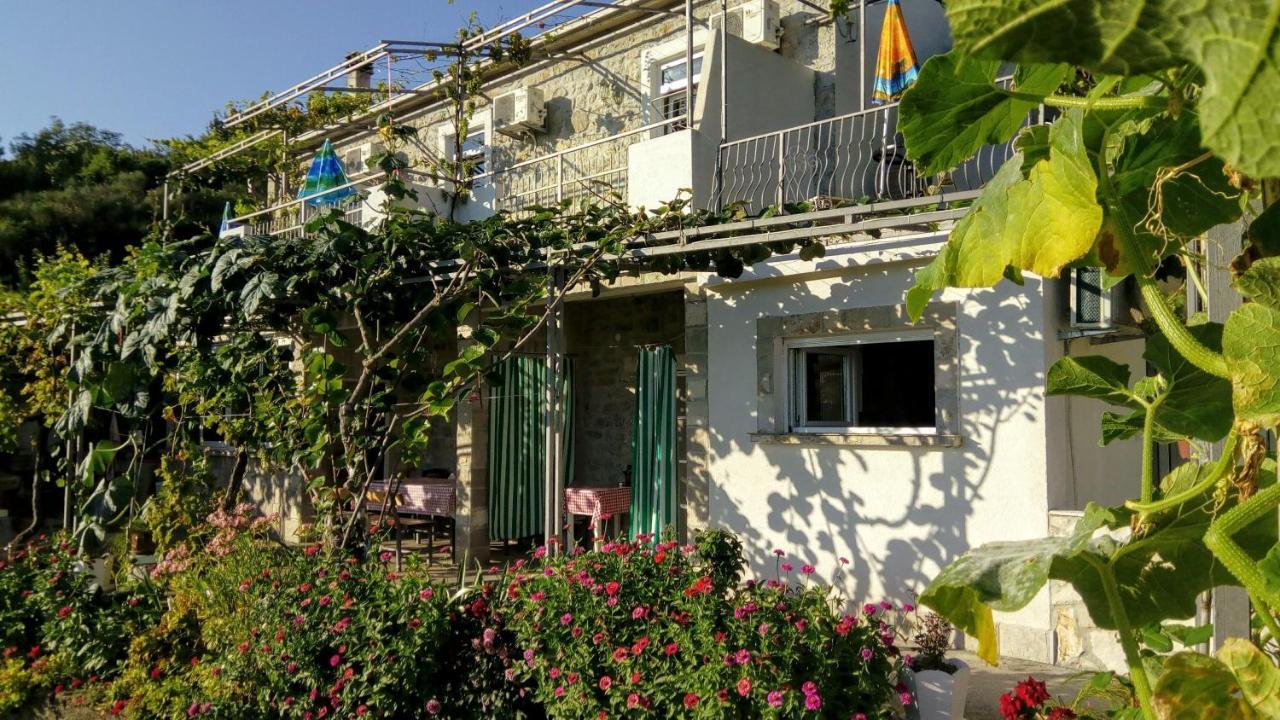 Apartmani Bosco Tivat Zewnętrze zdjęcie