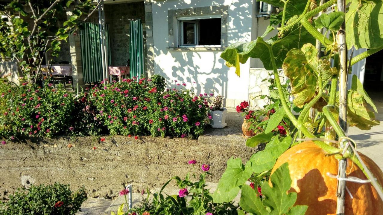 Apartmani Bosco Tivat Zewnętrze zdjęcie