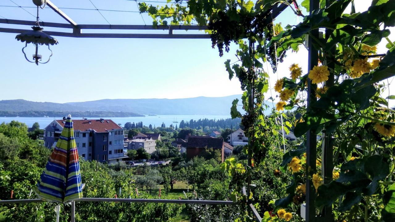 Apartmani Bosco Tivat Zewnętrze zdjęcie