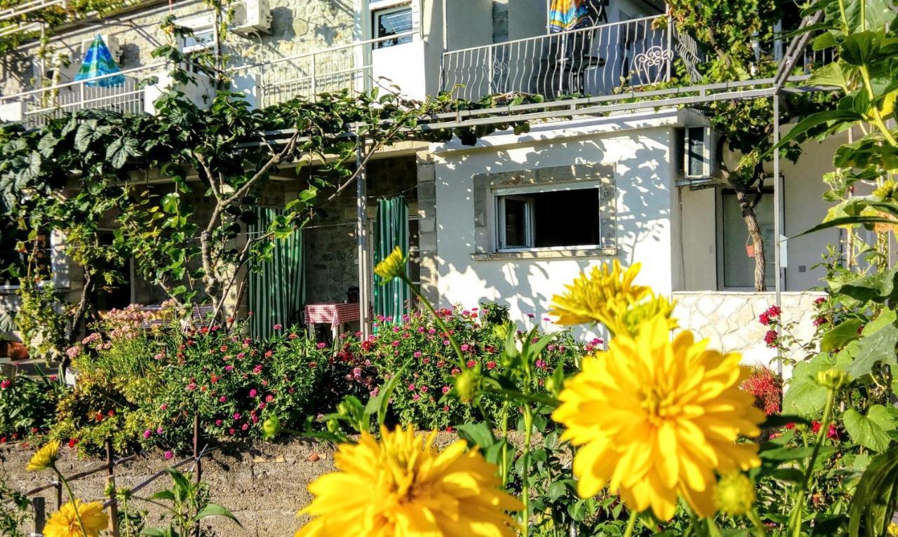 Apartmani Bosco Tivat Zewnętrze zdjęcie