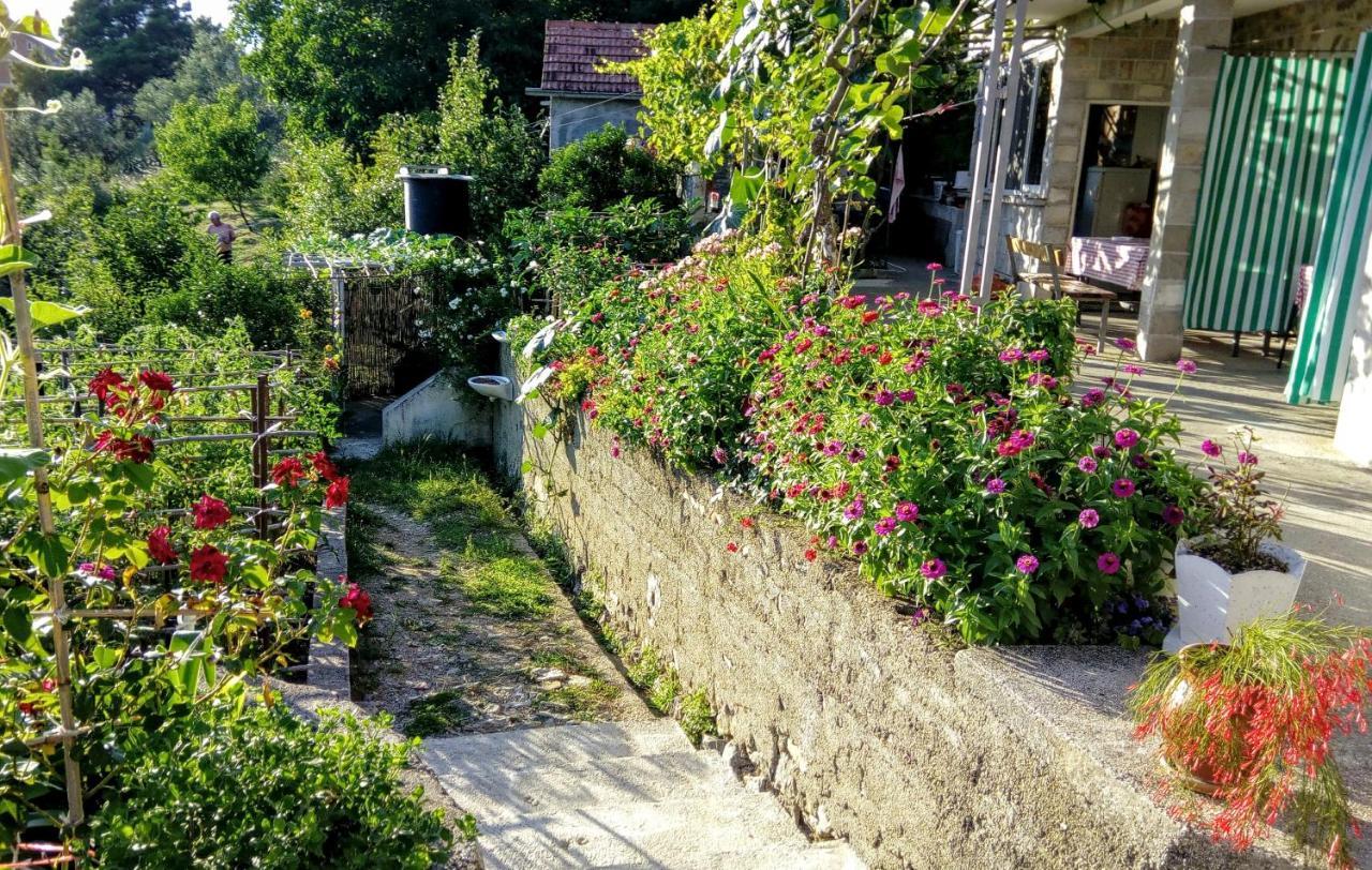Apartmani Bosco Tivat Zewnętrze zdjęcie